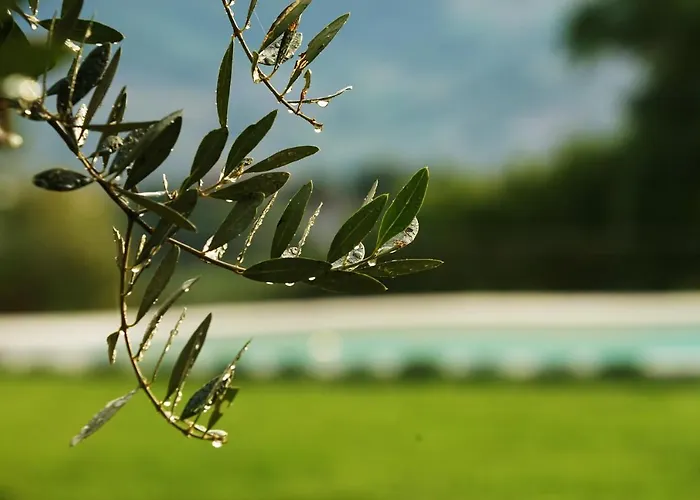 Alloggio per agriturismo Borgo La Morra