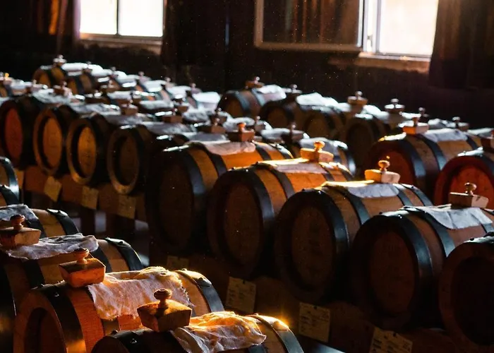 Alloggio per agriturismo Borgo La Morra