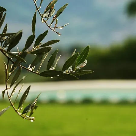 Farmház Borgo La Morra
